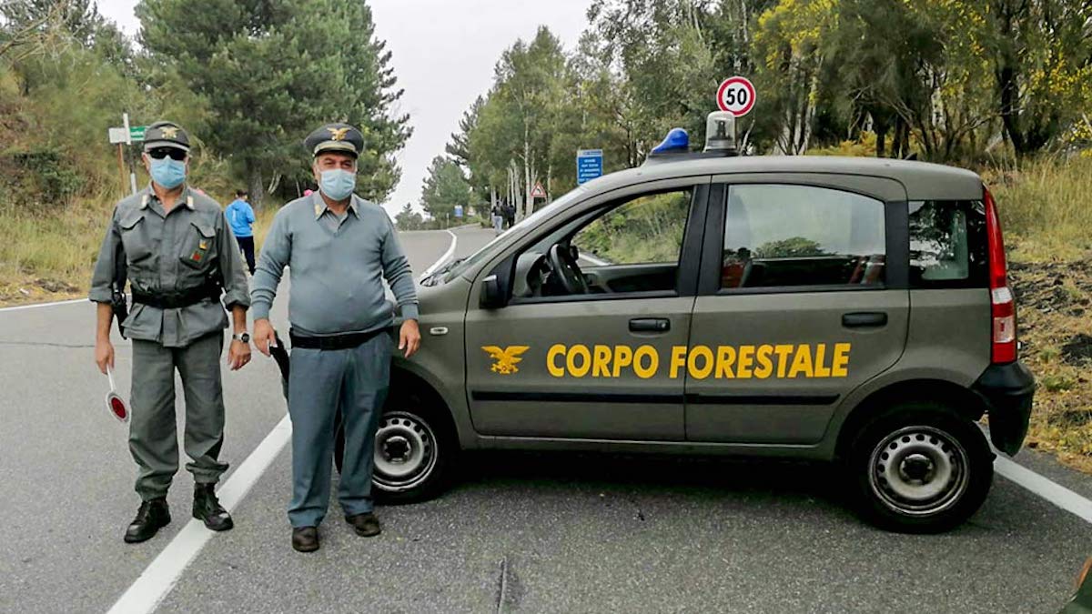 Nuovo Concorso Guardia Forestale a tempo indeterminato per Diplomati