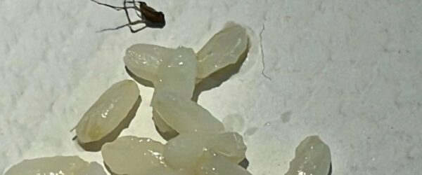 185935748-472abdf2-455b-4ab9-aeab-932d8627419d