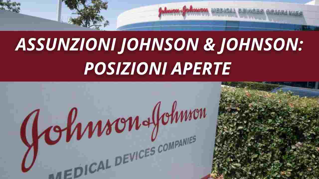 Assunzioni Johnson