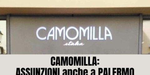 Camomilla