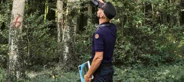 Carabinieri-forestali-970x485-1