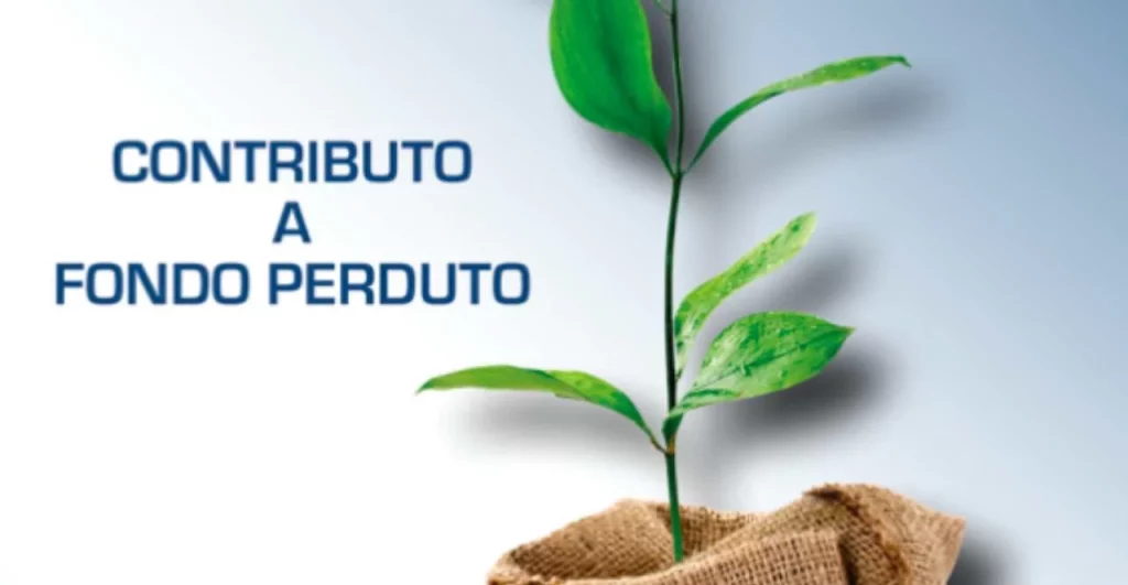 Contributo-a-fondo-perduto-560x323-1