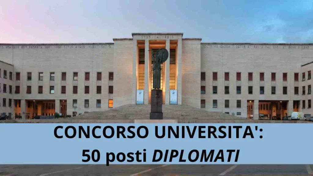 Concorso università