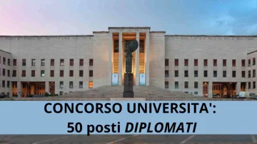 Concorso università