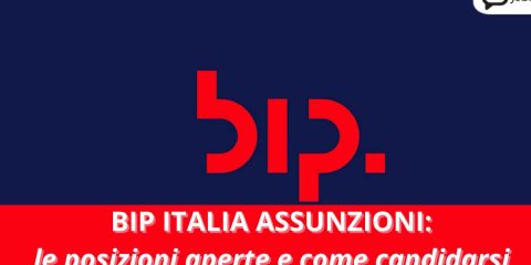 Bip assunzioni