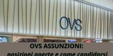 Ovs Assunzioni