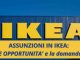IKEA assunzioni