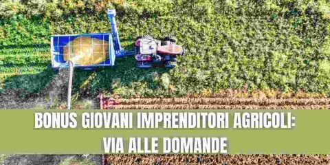 BONUS GIOVANI AGRICOLTORI