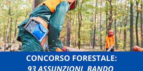 Concorso Forestale