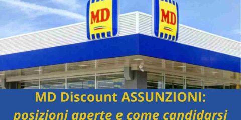 MD Discount assunzioni