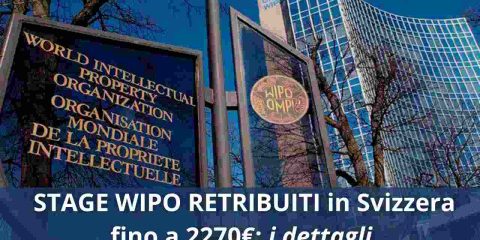 Stage Wipo retribuiti