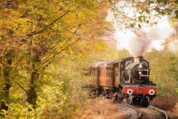 Treno del Foliage