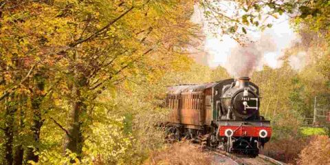 Treno del Foliage