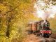 Treno del Foliage