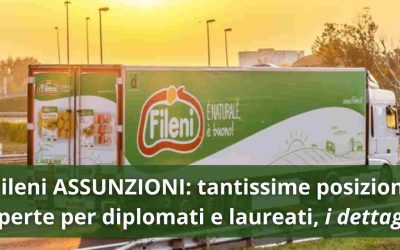 Fileni Assunzioni
