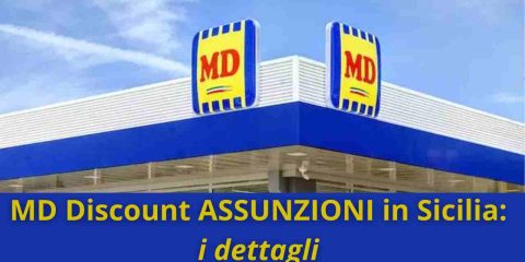 Md Discount Assunzioni