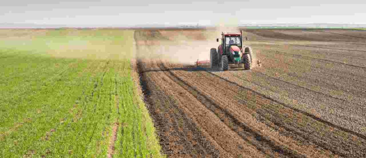 Agricoltura