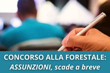 Concorso forestale