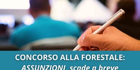 Concorso forestale