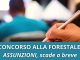 Concorso forestale