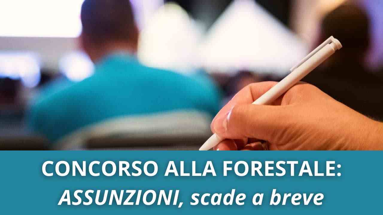 CONCORSO alla FORESTALE ASSUNZIONI Addetti Servizi Forestali, scade a