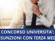 Concorso università