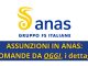Anas