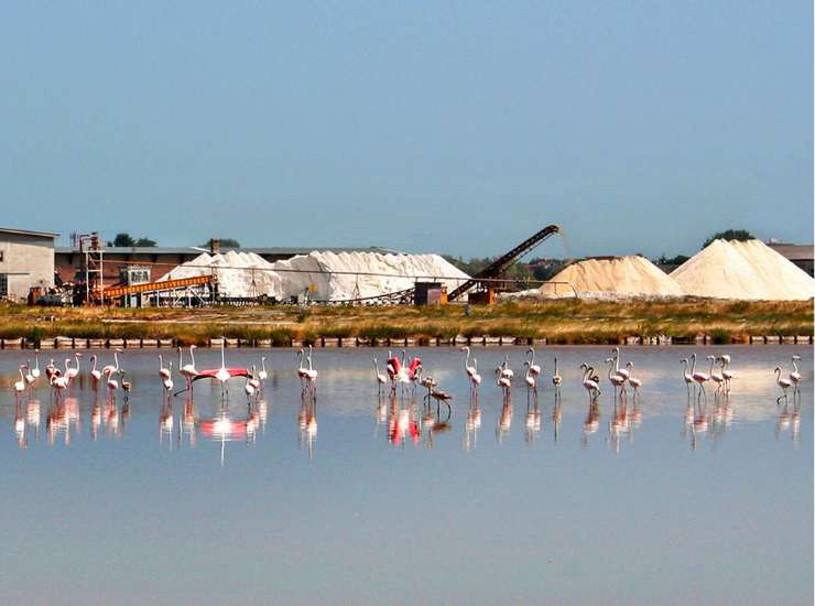 Saline di Cervia