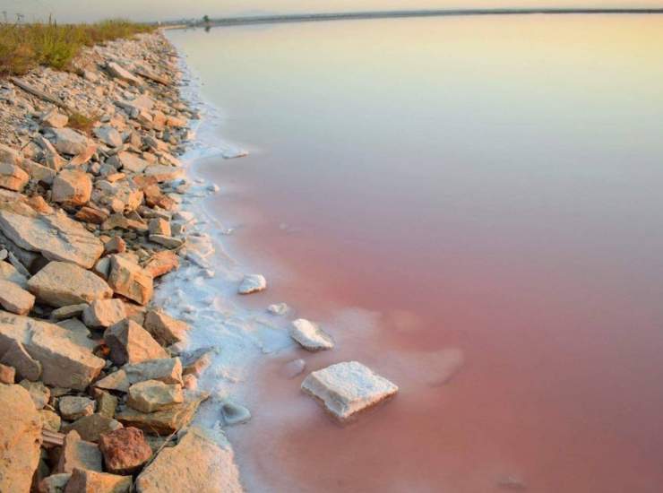 Saline di Margherita di Savoia