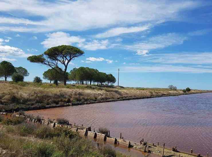 Saline di Tarquinia