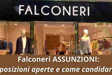 Falconeri Assunzioni