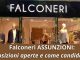 Falconeri Assunzioni