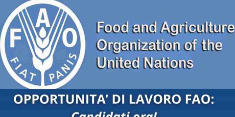 Opportunità di lavoro FAO