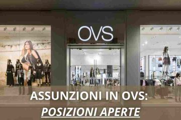 Assunzioni OVS