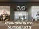 Assunzioni OVS