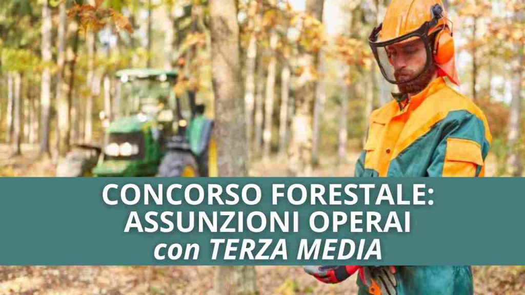 Concorso Forestale