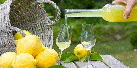 Limoncello