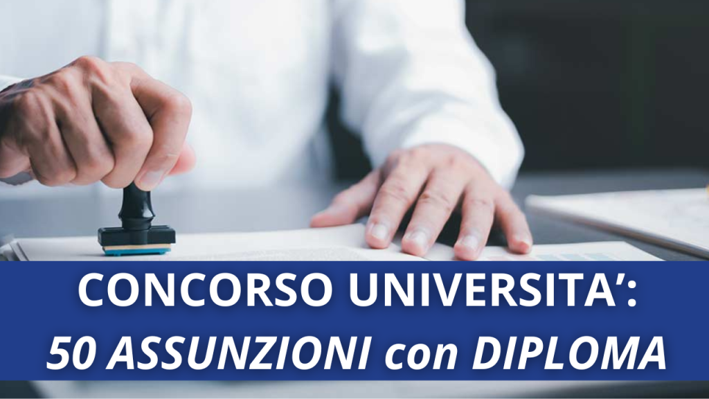 Concorso università