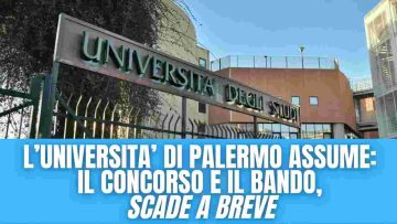 Concorso università di Palermo