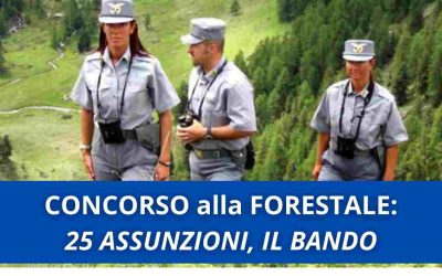Concorso alla forestale
