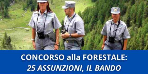 Concorso alla forestale