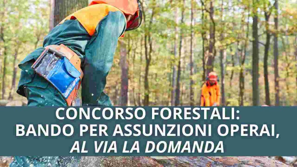 CONCORSO FORESTALE