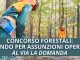 CONCORSO FORESTALE