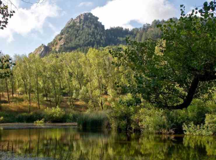 riserva naturale orientata sambuchetti - campanito