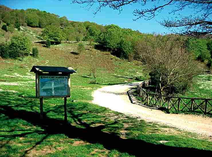 Bosco di Mangalaviti