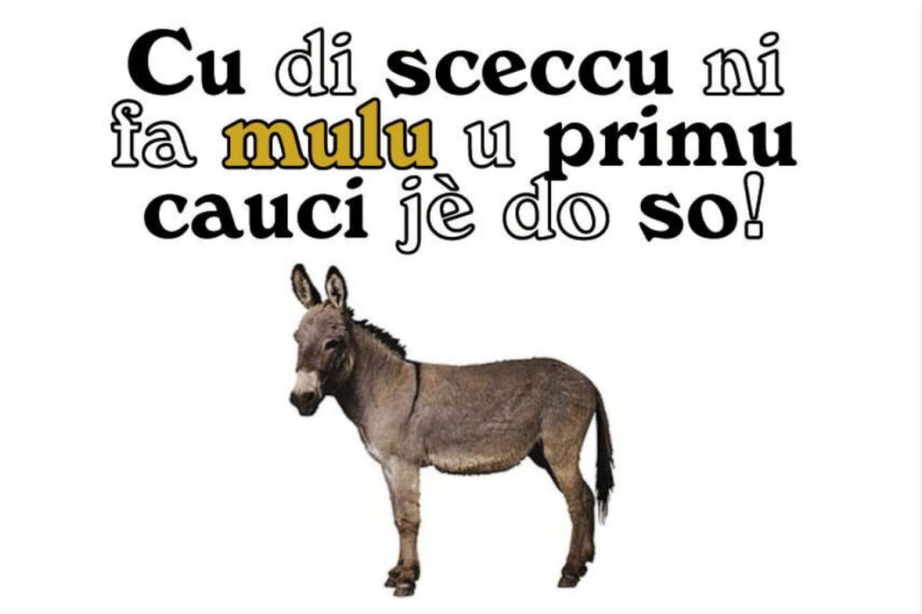 I proverbi Siciliani specchio della nostra cultura: Ecco i 50 più conosciuti 