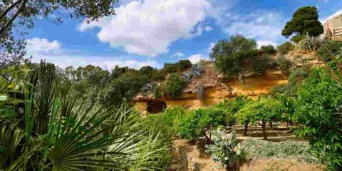 Oasi verde in Sicilia