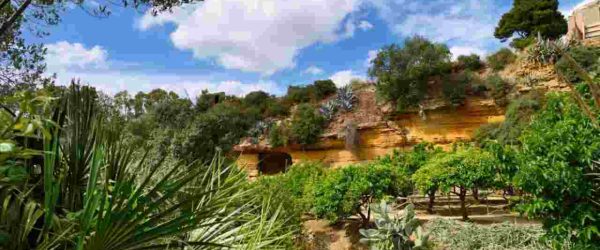 Oasi verde in Sicilia