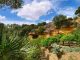 Oasi verde in Sicilia