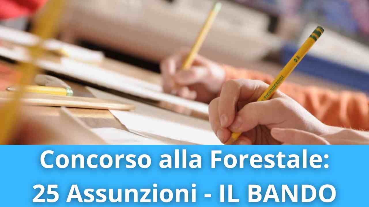Lavoro nella Forestale Concorso per 25 Assunzioni di Agenti e